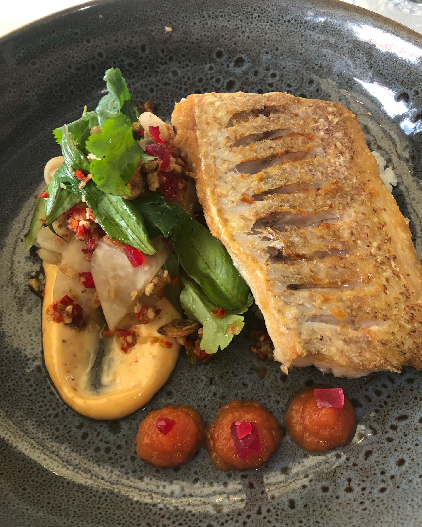 @annabudgen1 Brandpay user posted photo about Summer at Shuck