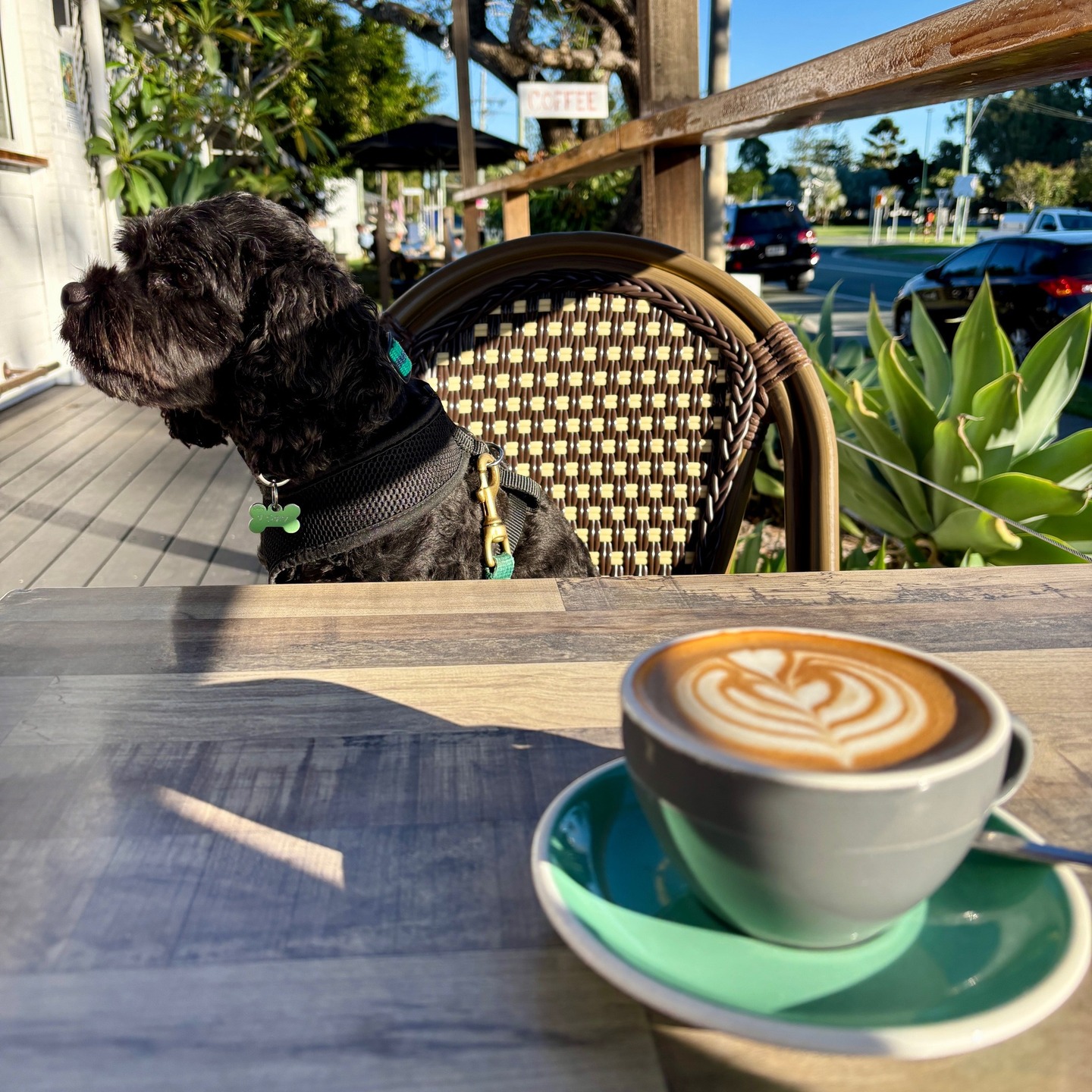 @stu_haslam_gc Brandpay user posted photo about How do you like your coffee? ☕️